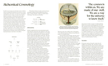 Load image into Gallery viewer, Wild Alchemy - An Astro-Botanical Guide To The Magic, Myth and Medicine of Plants
