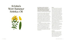 Load image into Gallery viewer, Wild Alchemy - An Astro-Botanical Guide To The Magic, Myth and Medicine of Plants
