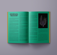 Load image into Gallery viewer, Wild Alchemy Journal - Earth Edition [Digital Download]
