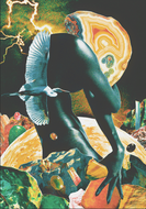 Collage #4