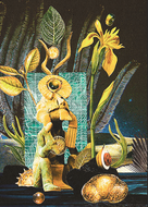 Collage #14