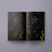 Load image into Gallery viewer, Digital Journal Collection
